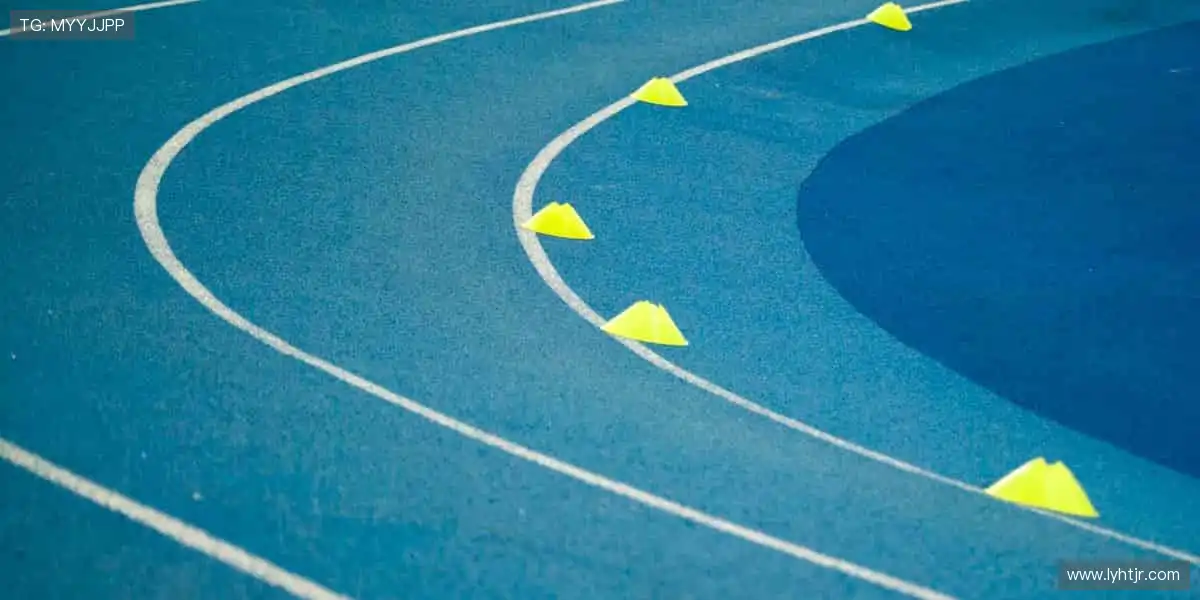 携手开发者,让创意在协作中无限生长!